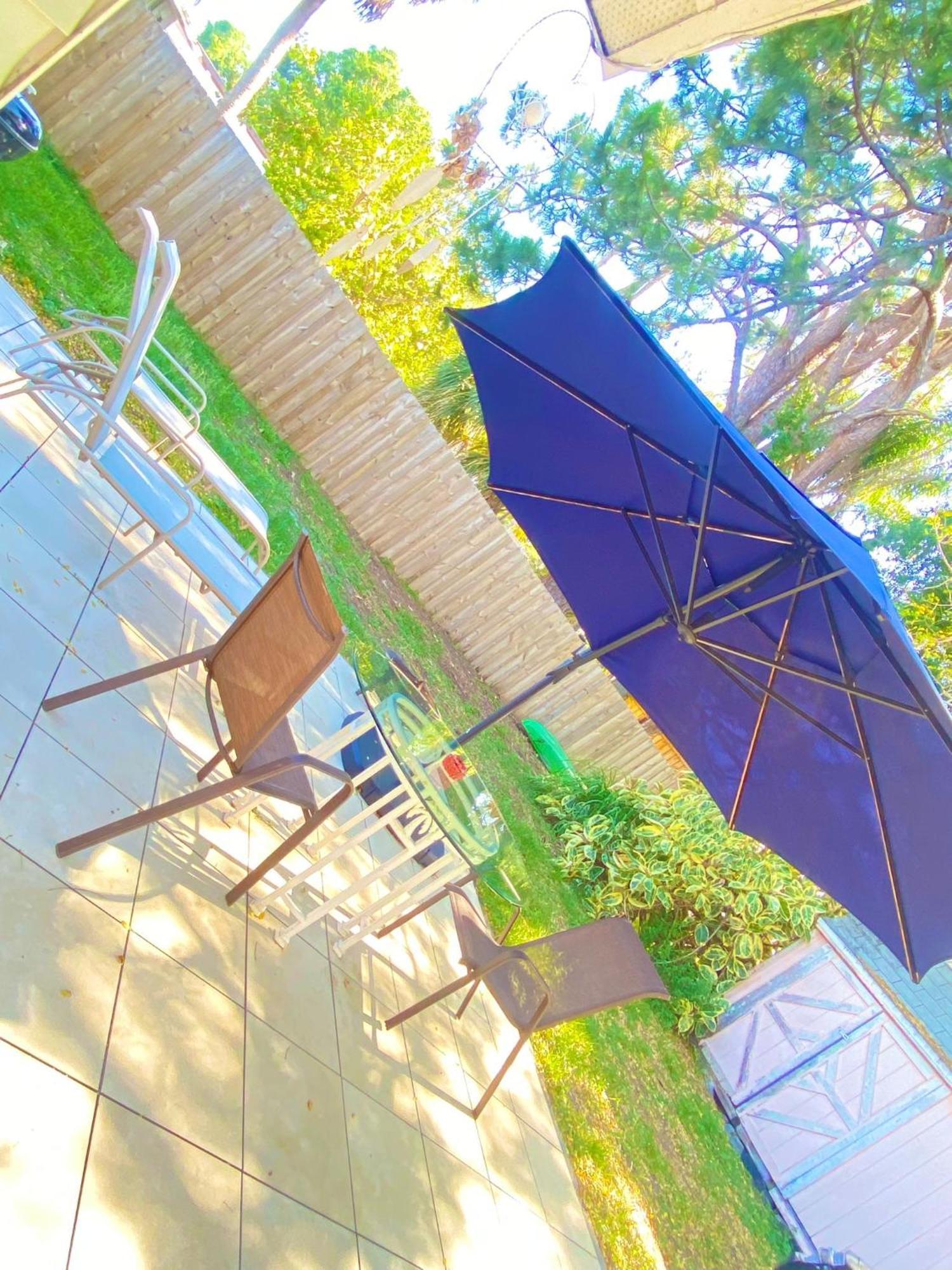 Cozy Studio Only 10 Minutes By Car Of Siesta Key Sarasota Extérieur photo